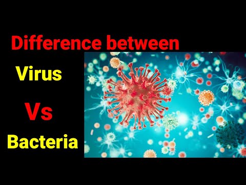 Virus Vs Bacteria || Difference between virus and bacteria || Explanation in hindi.