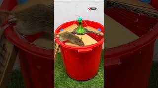 rat trap short #funnyanimals #cuterat #rattrap #viralvideo #funnyshorts