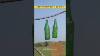 जंगली जानवरों को भगाने का देसी जुगाड़ || jungali janwar ko bhagane ka jugaad...Lalit Experiment Zone
