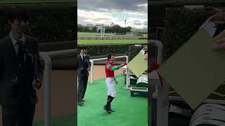 東京ハイジャンプ　石神騎手のファンサ　ゴールドシップ産駒　マイネルグロン　おめでとう　#shorts #ゴールドシップ産駒 #マイネルグロン #石神深一 #競馬  #東京ハイジャンプ