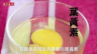 蛋黃有高含量的葉黃素?!   提早預防老花做好完善視力保健  | 賴宇凡《根治飲食帶你遠離慢性病》