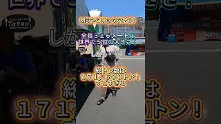 MSCベリッシマが日南市にやってきた！巨大クルーズ船が圧巻！