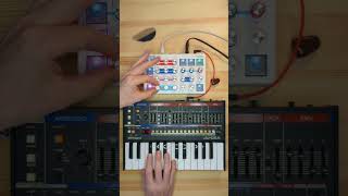 ginTronic transparentSea kickstarter winter 2025 #synth #effects #synthesizer #synthdiy #synthmusic