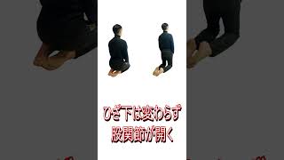 軽速歩のワンポイントレクチャー②　　　#乗馬 #horse #軽速歩#コツ