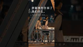 爱与金钱：胖猫的故事揭示真爱的本质 #真爱 #爱与金钱 #胖猫故事