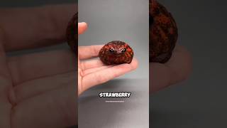Rain Frog - The Angry Strawberry🍓 #animals #rainfrog