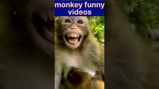 hanu #shortvideo
