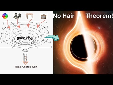 No Hair Theorem of Black Hole: The Hair-Raising Truth Behind Event Horizon