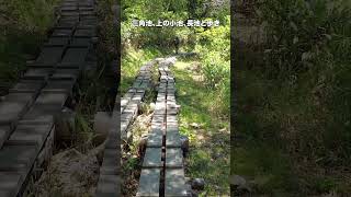 志賀高原でのハイキング！クマに遭遇！？木戸池〜田ノ原湿原〜三角池〜日影湿原〜上の小池〜長池〜信州大学志賀自然教育園【旅行VLOG、レビュー】 #木戸池 #長野県 #山ノ内町 #上信越高原国立公園