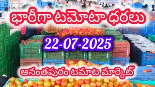 22-07-2025 Anantapur tomato market/Today tomato price/Today Anantapur Tomato market rates/