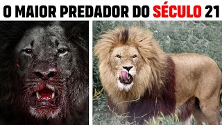 The Shadow in the Savannah: OSAMA THE LION WHO ATE 50 PEOPLE