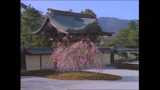 【TVCM】1996年 春「大覚寺」そうだ 京都、行こう。