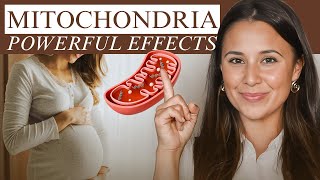 How Mitochondria Impacts Fertility (And What You Can Do About It)