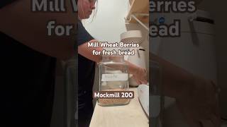Grind Your Own Wheat Berries for Flour with a Home Mill  #bread #freshmilledflour #homebaker