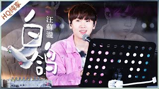 【纯享】《白鸽》汪苏泷《美好的时光》 Wonderful Time /浙江卫视官方HD/