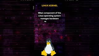 Linux Byte Bites: [Engaging Question in Less Than a Minute] #ByteSizeLinux #LinuxQuickQs