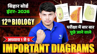 Class 12 Biology Important Diagrams | Chapter 1 to 5 | Most Important for Bihar Board 2026