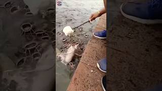 Fishing Funny Video | Challenge Fishing Video | Funny Video | #shorts #fishing #funny #challenge