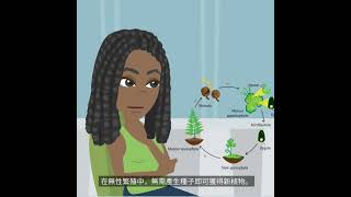 繁殖的模式 (高小科學教育 第七級：植物的繁殖)