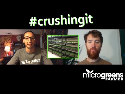 Student builds $8000 per month microgreens business delivering door to door (full interview)