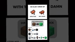Minecraft meme