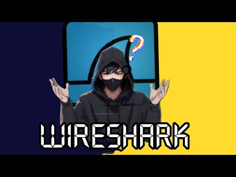 Wireshark in a Nutshell: Your Quick Guide to Network Traffic Analysis | VR 403 Bots