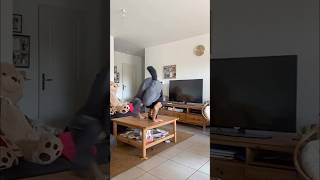 Dance home 😅 🤫 #failfriday @willy.hem #fun #dance #breakdance #bboy #fails #fail #extremekitchen