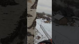 #arboristing #arborist #tree #dnyapro #арборист #risk #dangeroustree  #zhlobinarbo