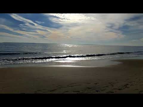 Beach on Brighton beach