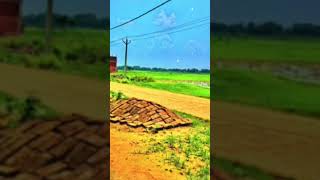 sisma gaw #netur #top #song #trendviral #trend #viraltrend #viralcode