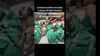 #freepalestine #freegaza #stopwargaza