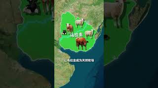 乌拉圭的地理环境十分优越？