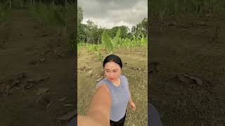 #nocopyrightmusic  #bukidfeels