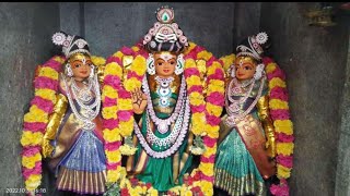 கிருத்திகை விரதம் அன்று முருகனை இப்படி வழிபடுங்க/கிருத்திகை விரதம்/Krithigai viratham/Lord Murugan