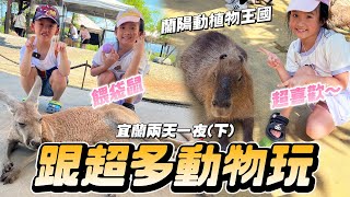 宜蘭兩天一夜下集 去找袋鼠 土撥鼠 象龜 卡皮巴拉 │ 弟捨不得象龜哭哭還被鸚鵡咬🫨 │ 蘭陽動植物王國 │ 村却國際溫泉酒店 │ 宜蘭親子 │ 宜蘭農場 │ 妹比睿弟