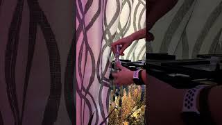 Setting up Fluval CO2 Kit #aquarium #fluval #aquascape