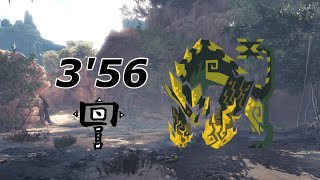 MHWI:乱れ咲く連爆の華 猛り爆ぜるブラキディオス ハンマーソロ 3'56"81 / Achy Brachy Heart Raging Brachydios Hammer Solo【PS5】