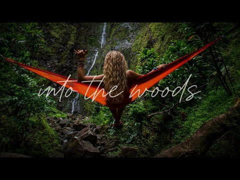 Into the Woods – Acoustic Folk/Pop Playlist for the Joy of Life