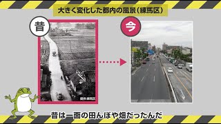 【東京の生物多様性】③生物多様性の危機とは！？