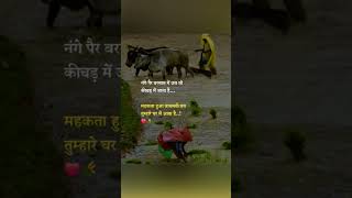 #trueline #jaijawanjaikisan #hardwork #kisanindia #reality #lifereality #salutekisan #salute #farmer