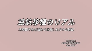 海外での腎臓移植（渡航腎移植）のリアル
