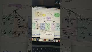 Secure Telecom Network Project | Cisco Networking Projects with Documentation