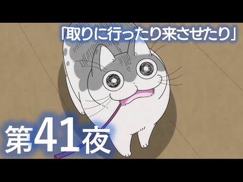 アニメ『夜は猫といっしょ』第41夜「取りに行ったり来させたり」