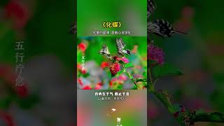 #五音療愈  #養心曲  #修心養性禪悟人生  #國樂 #化蝶