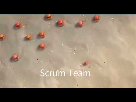 Scrum Master removing Impediments #scrum #scrummaster #impediments