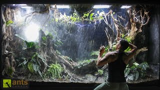 I Simulated a TYPHOON in My Giant Rainforest Vivarium