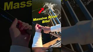 He Just Cast the Line—Then BOOM! River Beast Strikes! #shortsfeed #funny #fishing