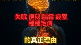 讓我告訴你，你一直無法擺脫失眠 便秘 腦霧 疲累 種種毛病的真正理由