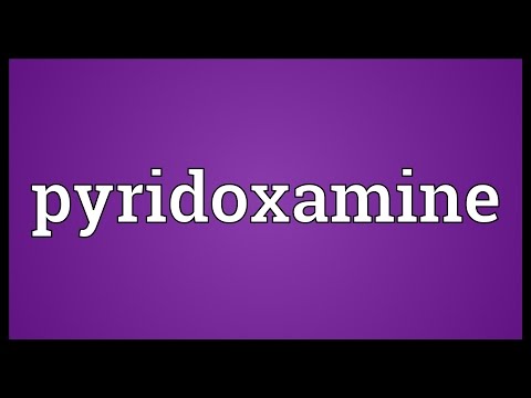 Pyridoxamine Meaning