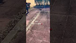4歳息子、ラジコン遊び。#ワンオペ育児 #子育て記録 #子育て #2人育児 #シングルマザー #シングルマザーの子育て #シングルママ #無職 #4歳児 #男の子のママ